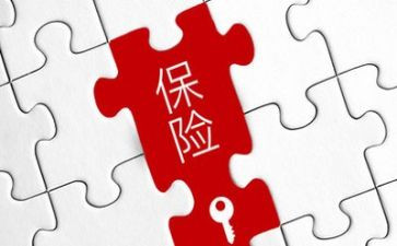 理赔员的工作总结通用5篇