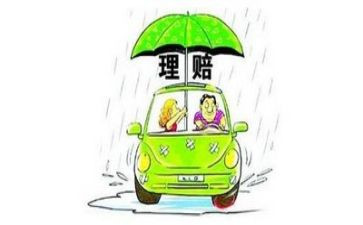 保险理赔员的工作总结7篇