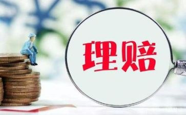 2023理赔工作总结5篇