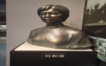 关于刘和珍的演讲稿800字6篇