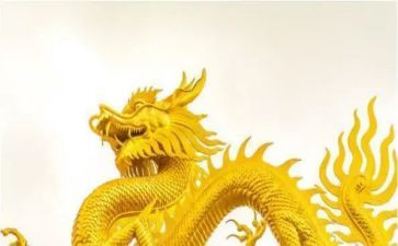 赛龙舟的作文优秀6篇