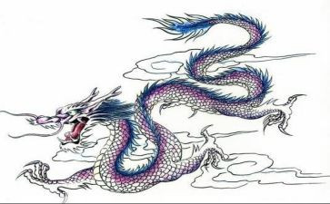 龙的传人的作文300字推荐5篇