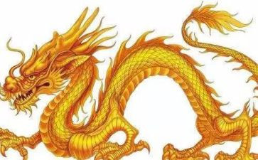 读恐龙大百科读后感6篇
