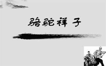 骆驼想子读后感优秀7篇