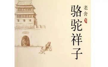 骆驼和养读后感精选7篇