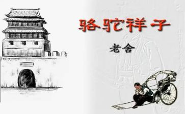 骆驼的子读后感优质5篇