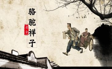 骆驼想子读后感6篇