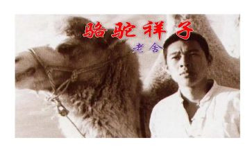 骆驼想子读后感推荐8篇