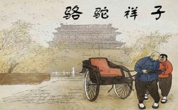 骆驼想子读后感参考5篇