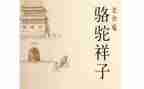 骆驼和养读后感精选7篇