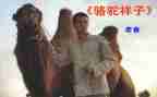 骆驼的子读后感8篇