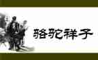 骆驼和养读后感通用8篇