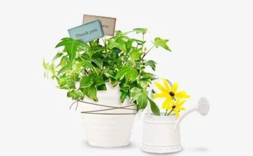 绿化年终总结范文7篇