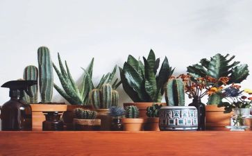 绿化总结报告8篇
