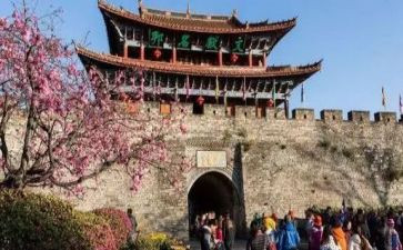 写暑假旅游的作文7篇