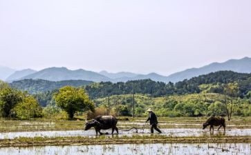 忙优秀作文600字最新8篇