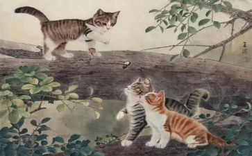 假如我是猫作文推荐5篇