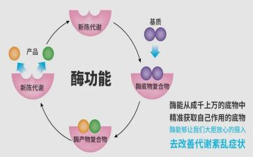 酶的情人读后感6篇