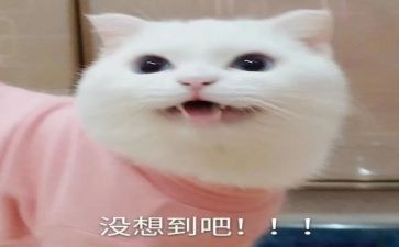 没想到真没想到作文600字6篇