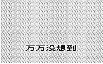 没想到真没想到作文通用6篇