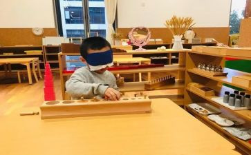 蒙氏教学教案最新6篇
