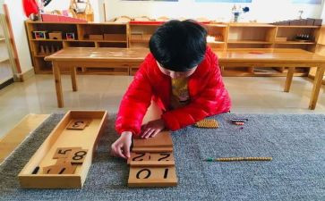 蒙氏老师学期个人总结精选8篇