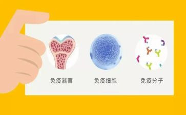 免疫规划年终总结6篇