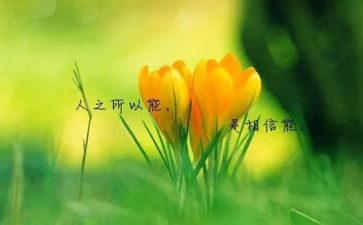 爱读书的名人作文推荐7篇