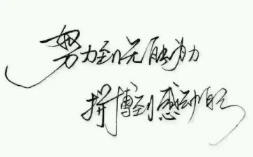 名人的工作总结5篇