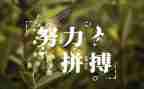 名人传的,读后感8篇