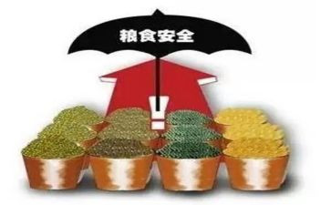民以食为天的作文8篇