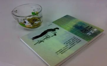 关于目送的读后感7篇