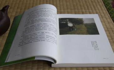 目送作文600字5篇