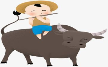 牧童歌教案8篇