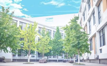 对母校的演讲稿模板8篇