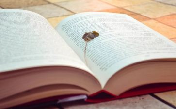 最难忘的一次旅行作文7篇