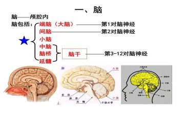 电脑做教案模板7篇