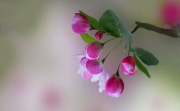 关于年华的作文8篇