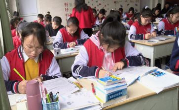 八年级下语文教学总结优质6篇