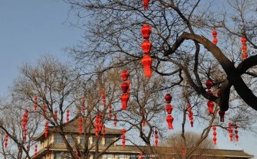 年味作文500字6篇