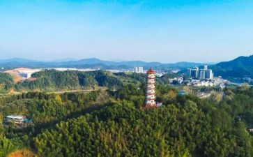 宁化的调研报告精选5篇