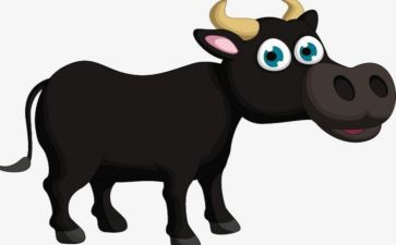 牛人作文800初中作文优秀8篇