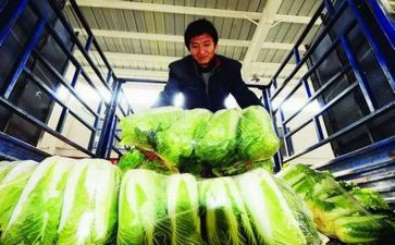 农产品质量工作总结范文5篇