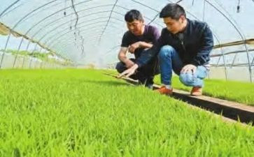 2024年农技人员个人总结工作总结5篇