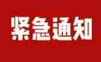 小学安全排查自查报告5篇