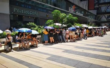 排队教案优质5篇