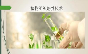 被培养教师心得体会5篇