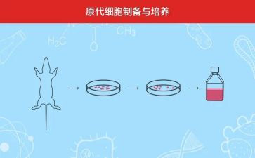 小学培养青年教师工作总结5篇