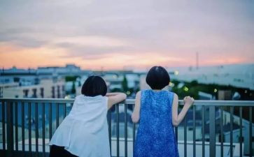 黑鹤的朋友读后感参考7篇