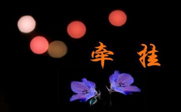 牵挂的作文600字推荐8篇